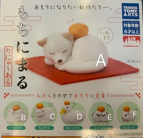 Animal Under Mandarin Orange Small Figure 6 Pieces Set (In-stock) Family friendly