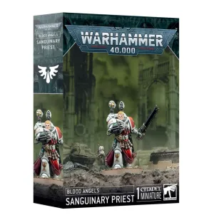 Color Therapy History Buff Blood Angels Sanguinary Priest