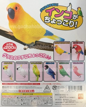 Parrot Figure Set 8 pcs School Project