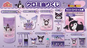 Kuji - Kuromi - Night Routine Biology Model