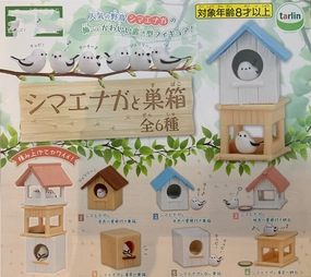 Bird and Nest Box Mini Figure 6 Pieces Set (In-stock) Instagram Worthy