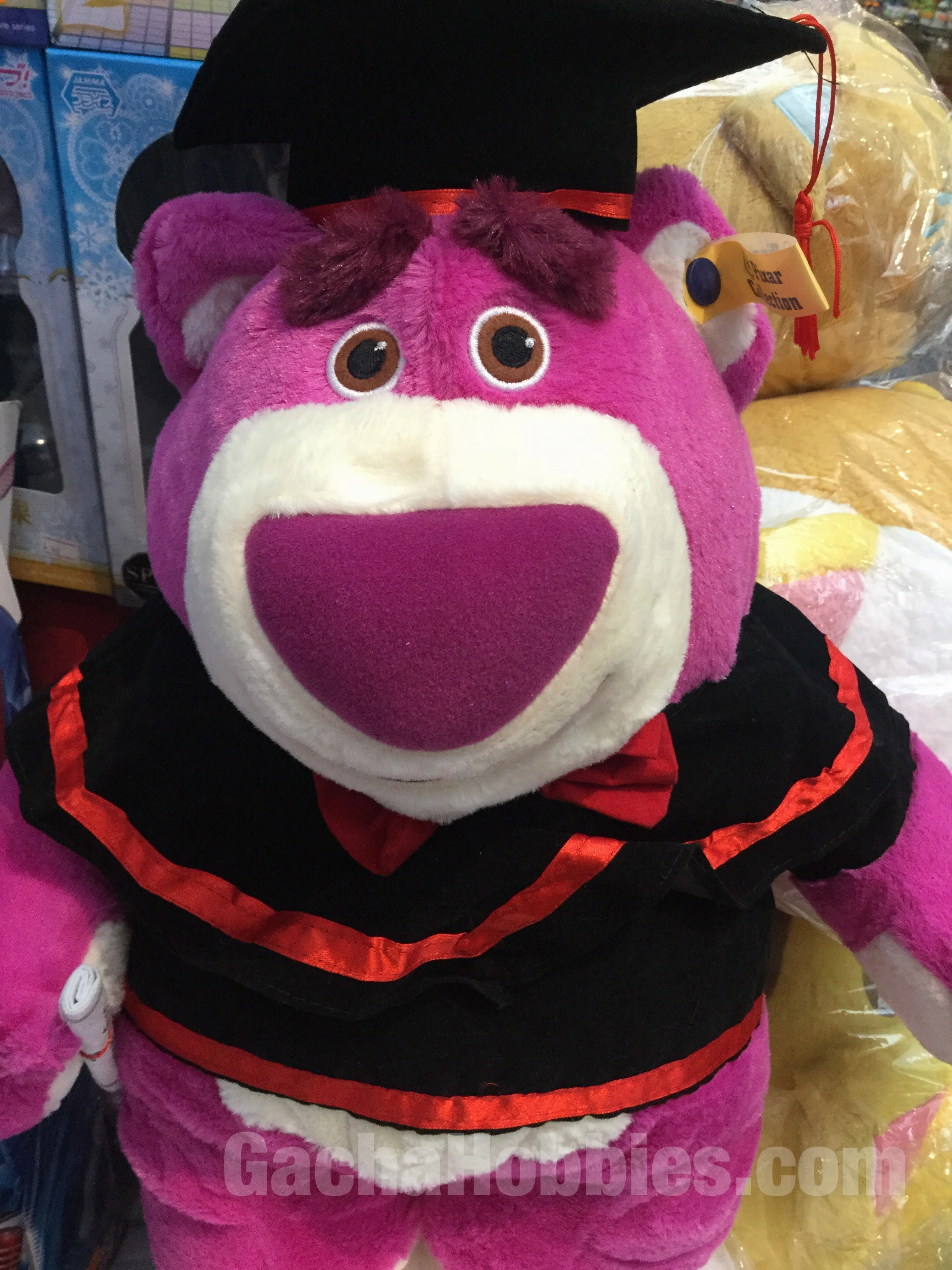 Graduation Lotso Small Sight