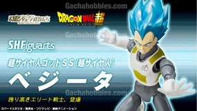 S.H.Figuarts Super Saiyam God SS Tamashii Limited (Pre-order) Video game Premium Object