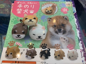 Collectible Model Koro Koro Shiba Inu Plush 5 Pieces Set (In-stock)
