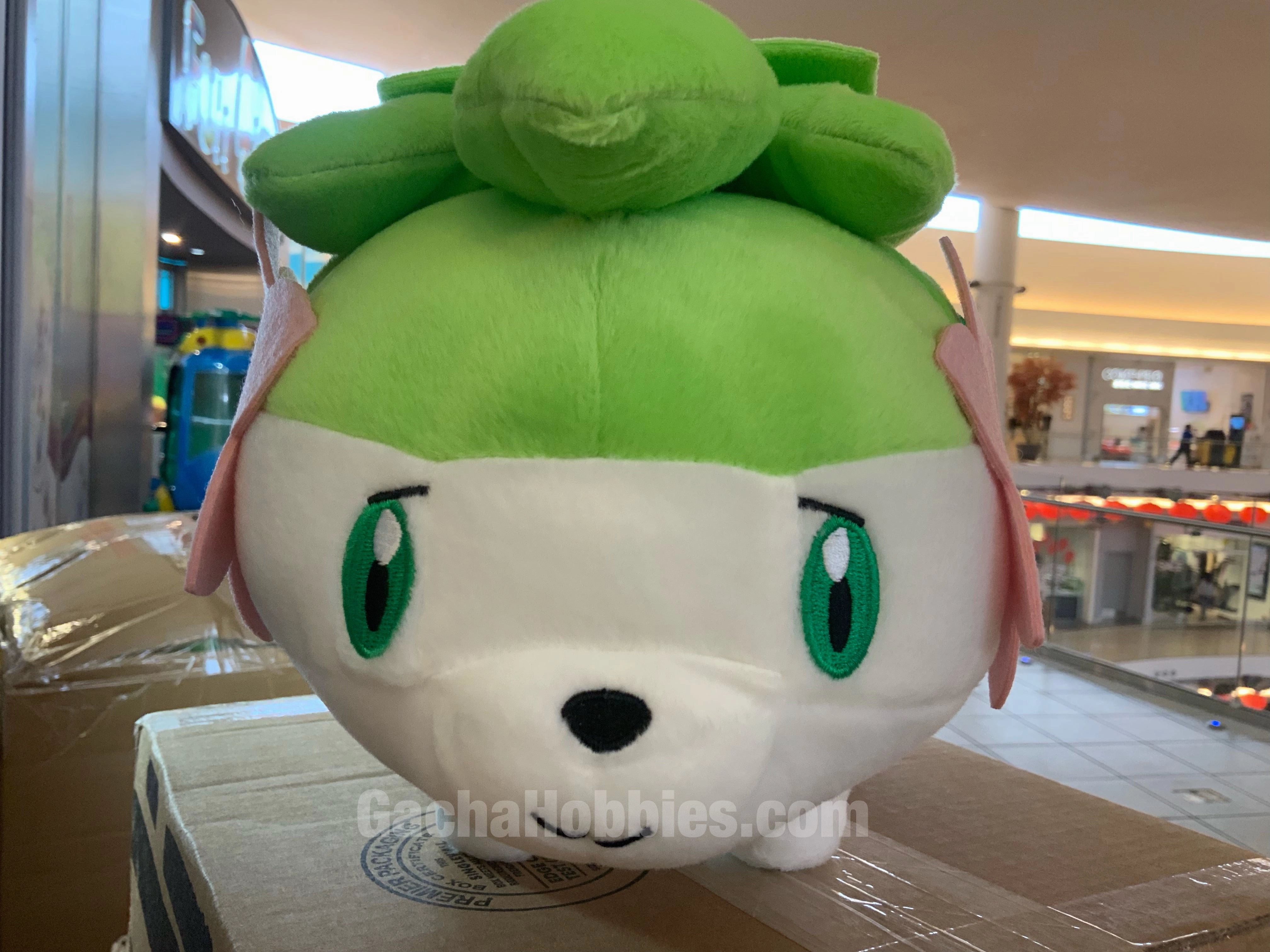 Pokemon Focus Series Shaymin Medium Plush (In-stock) Copy Worker Little Implement