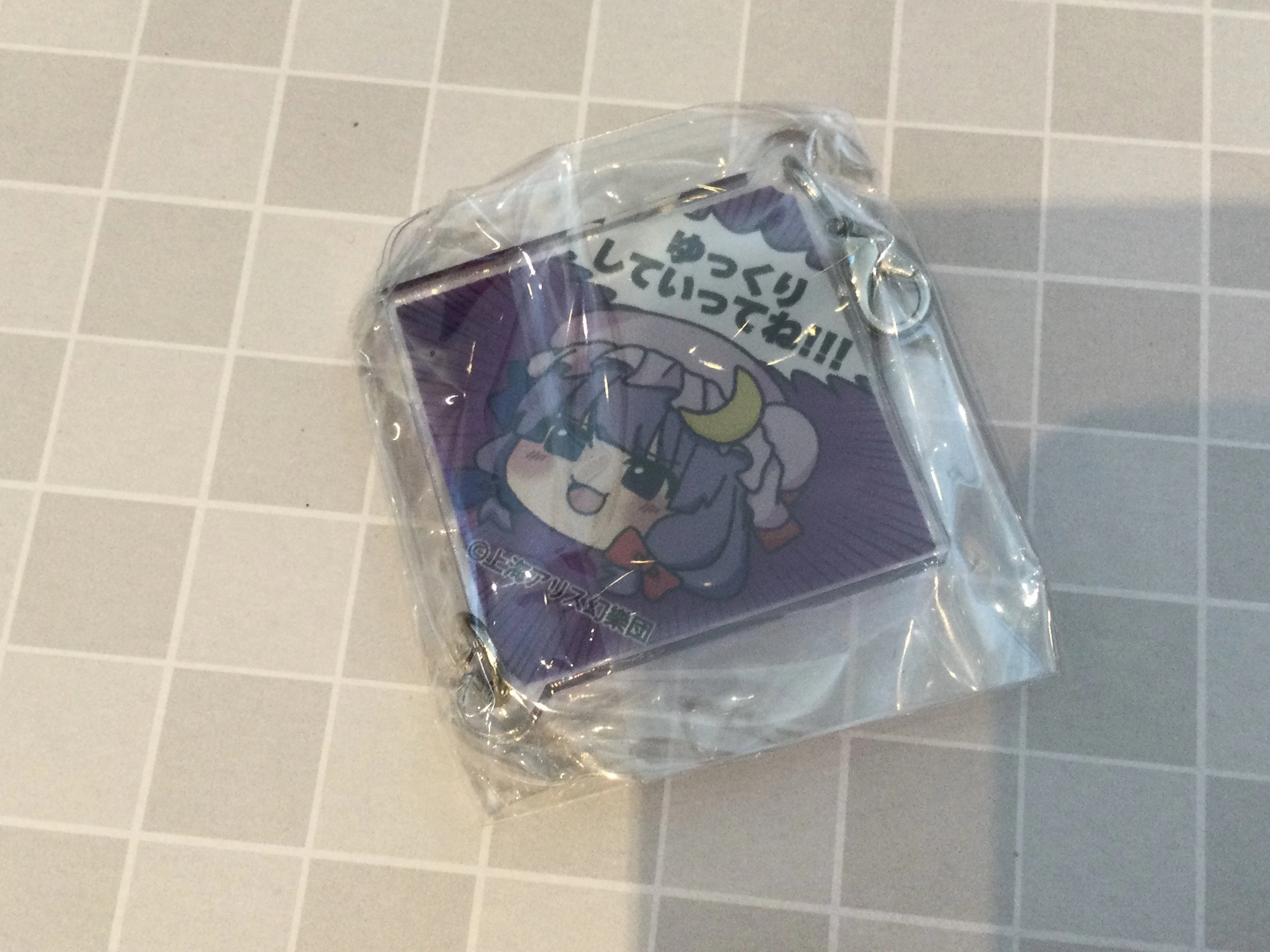 Fantasy Product Gender Neutral NIC Touhou Project Characters Yukkuri Acrylic Keychain 10 Pieces Set (In-stock)