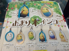 Wall Mounted Parrot in Cage Figure Keychain 6 Pieces Set (In-stock)