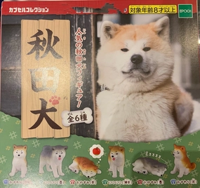 Regional Specialty Personalized Exhibit Popular Akita Inu Life Figure 6 Pieces Set (In-stock)