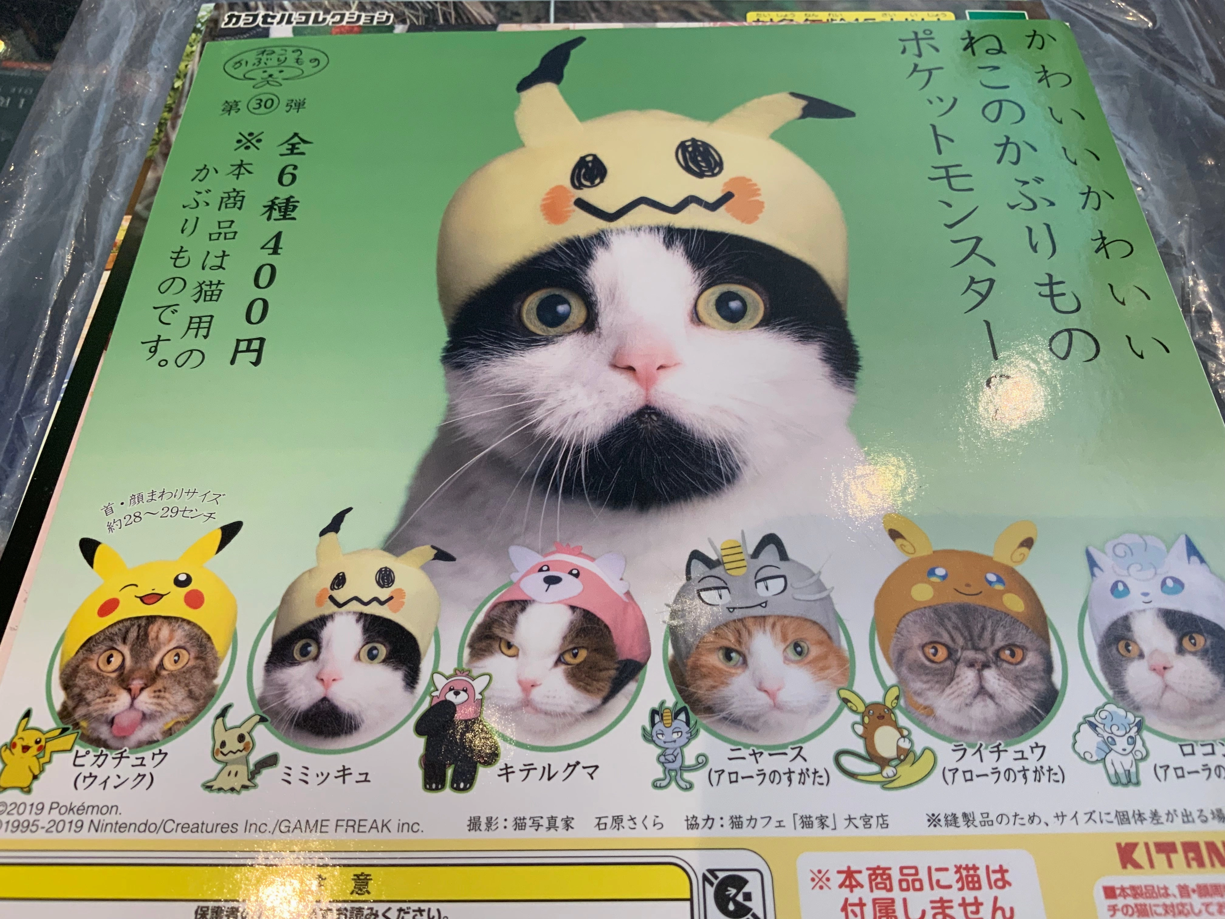 Kitan Club Pokemon Cat Hat 6 Pieces Set (In-stock) Gift wrapping