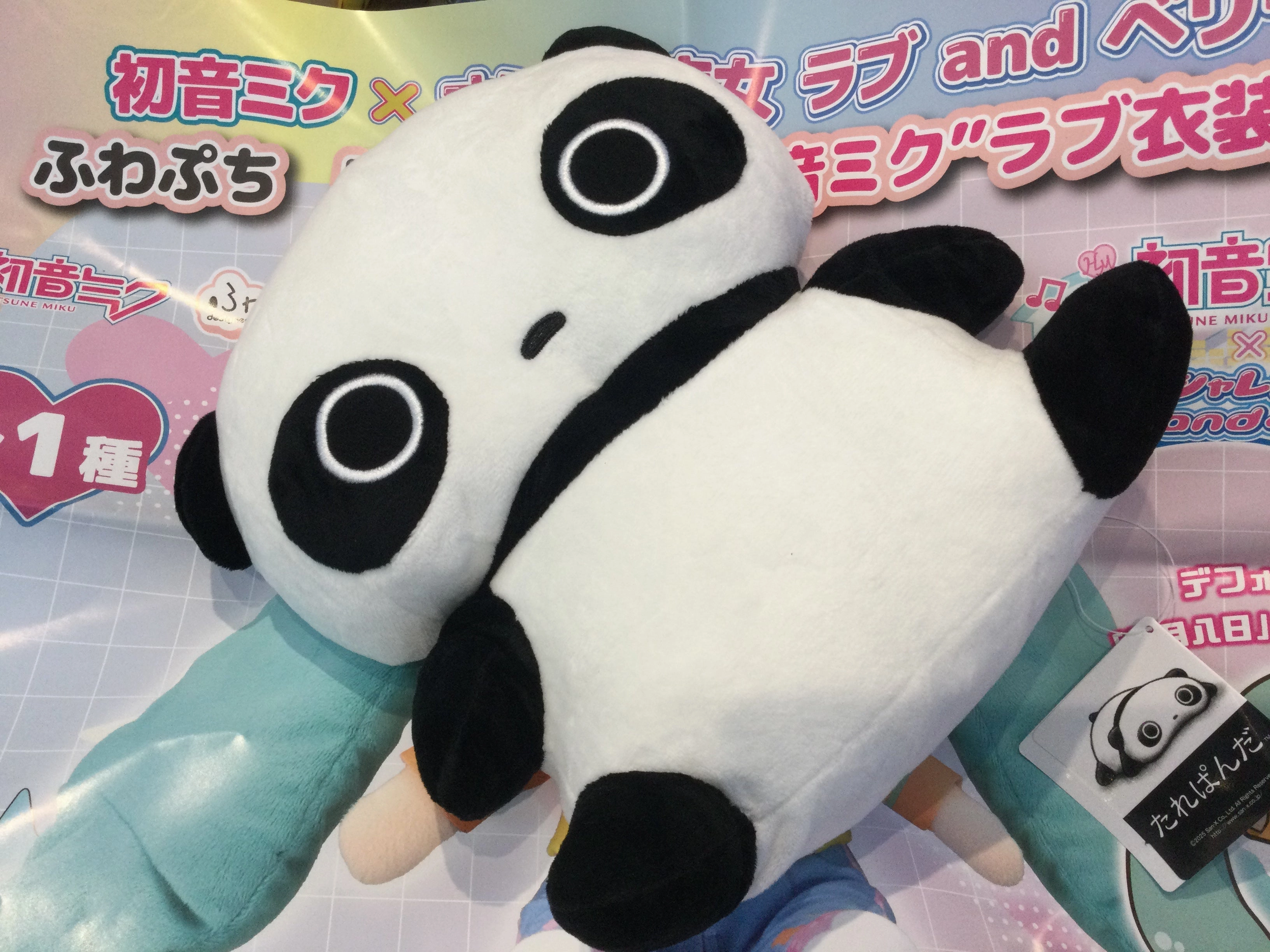 San-x Tarepanda Panda Resting Medium Plush (In-stock) Mini Chest Small Certificate