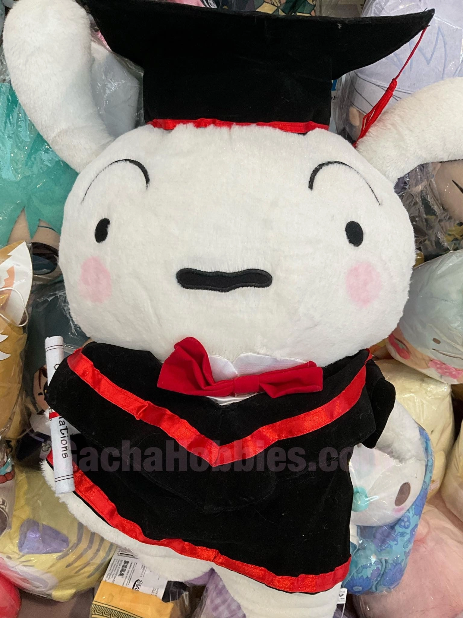 Small Insect Ensemble Cast Graduation Crayon Shin-chan Dancing Shiro Large Plush