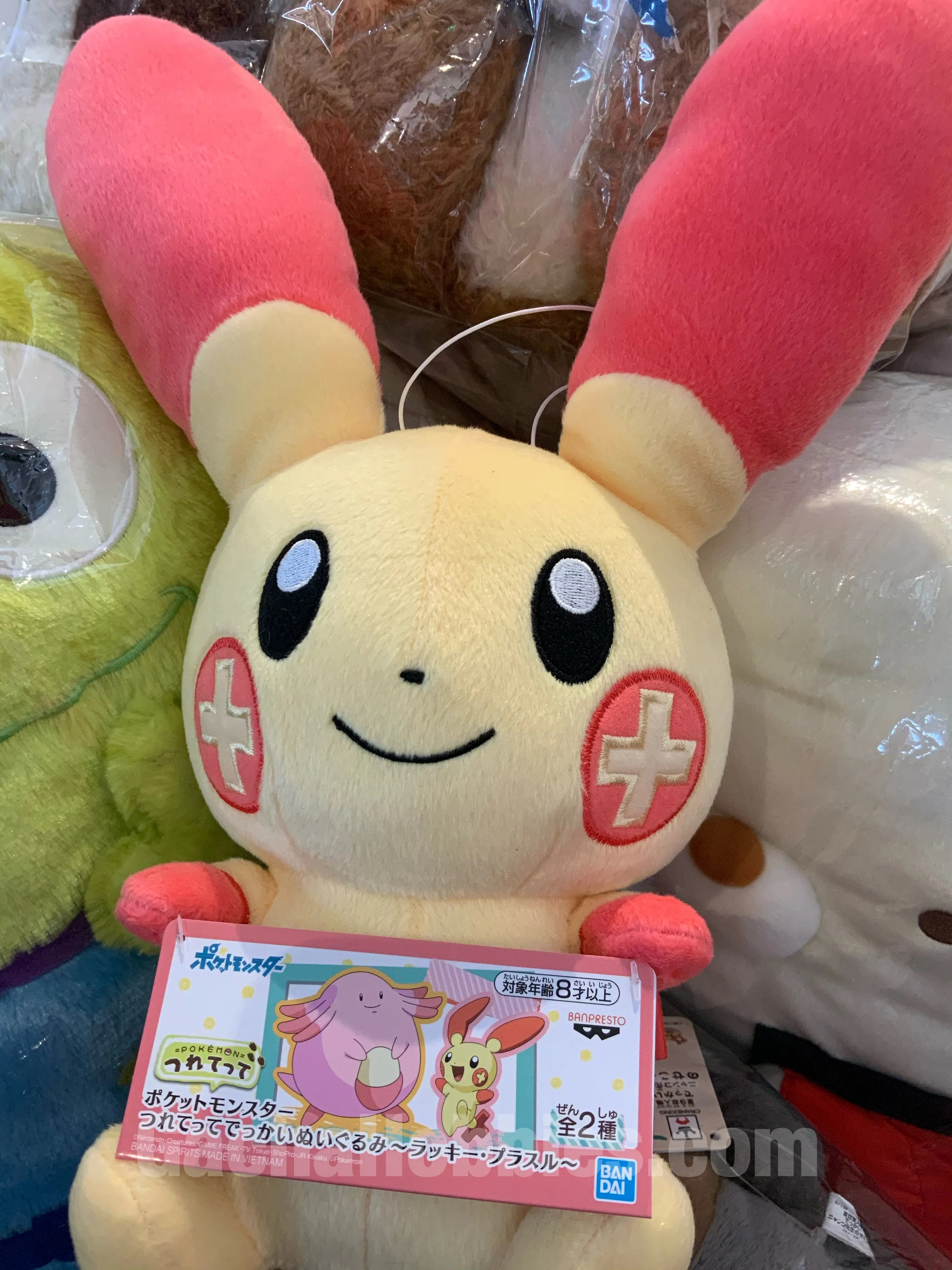 Private Association Small Basket Pokemon Plusle Tsuretette Medium Plush (In-stock)