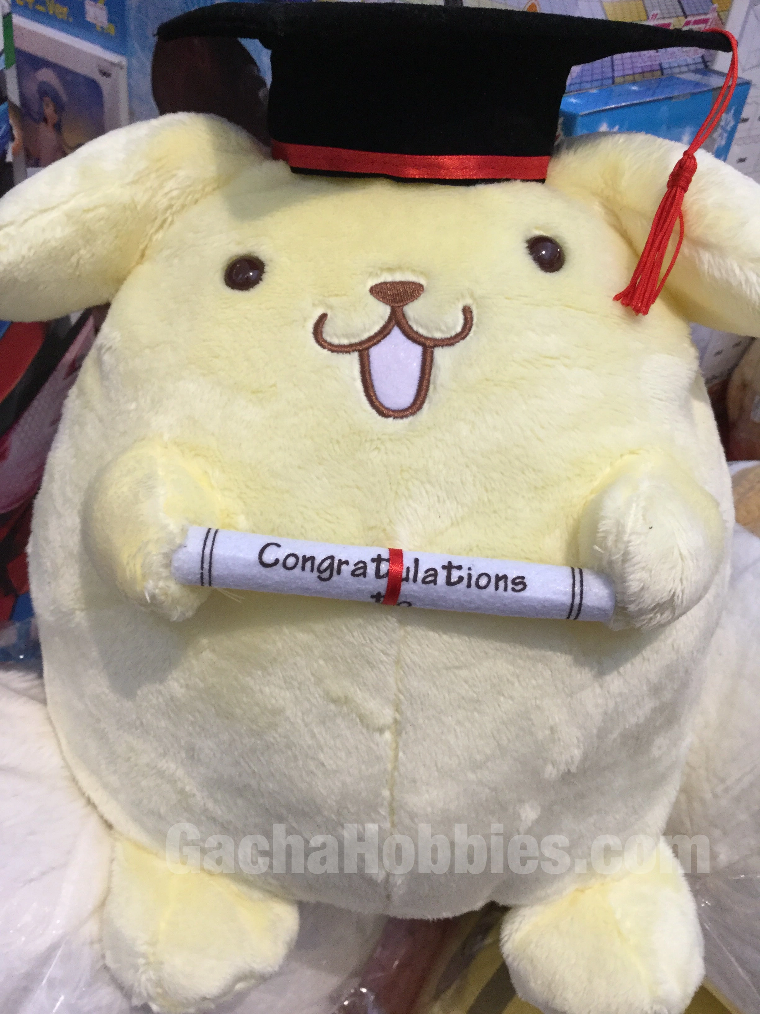 Tiny Vision Graduation Pom Pom Purin (In-stock)