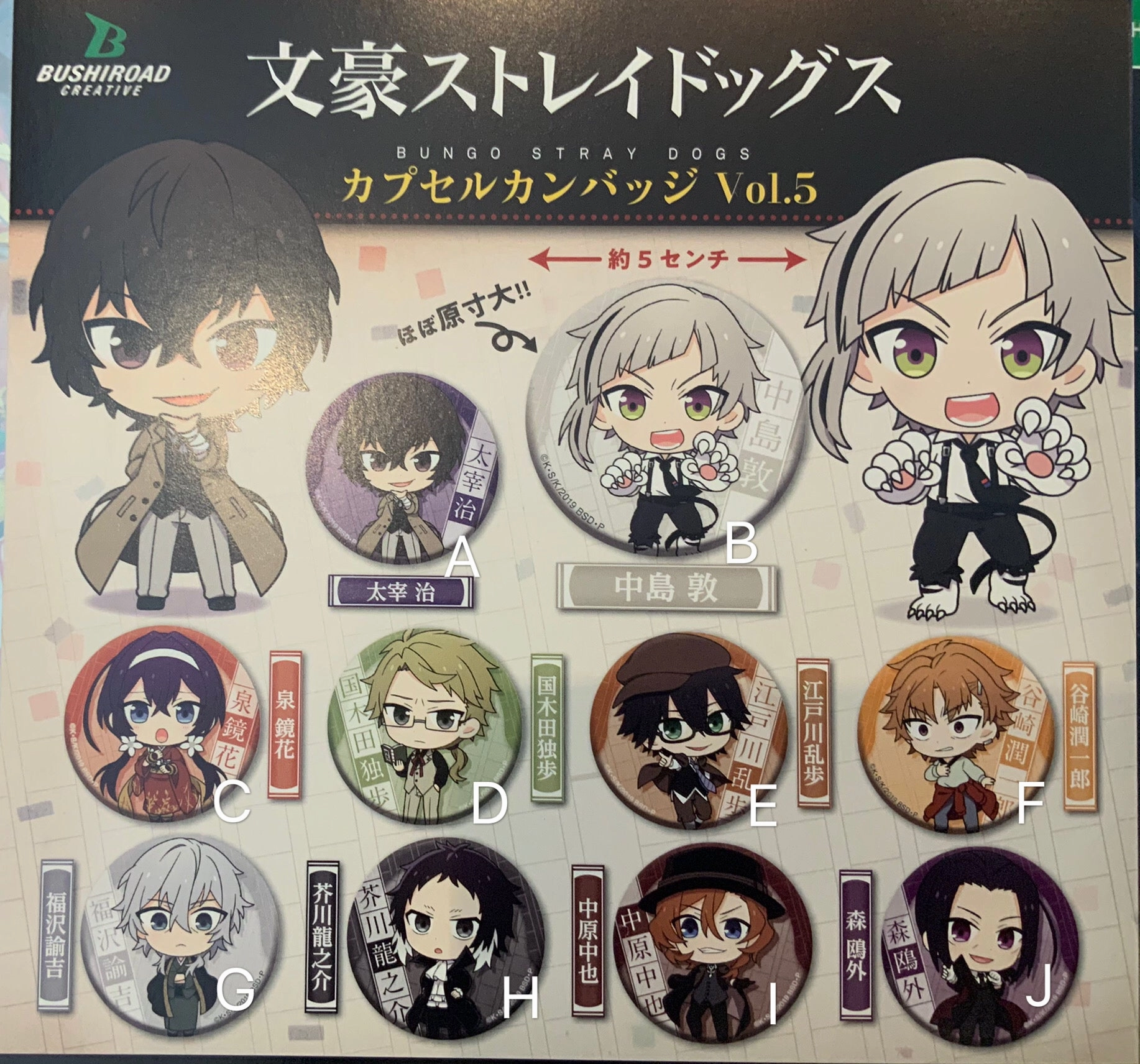 Bungo Stray Dogs Character Badge Vol.5 10 Pieces Set (In-stock) Art Collection Kids Room