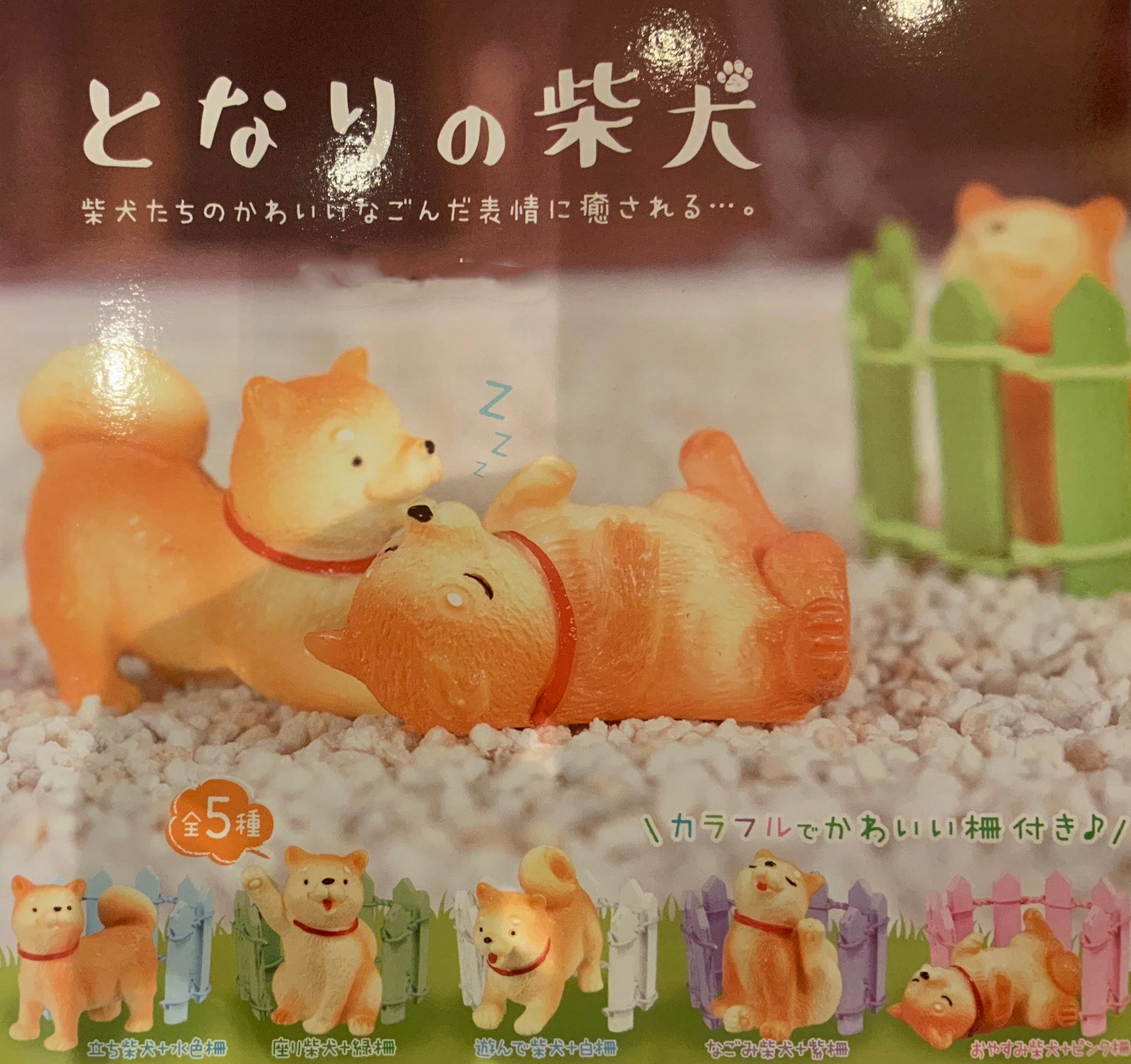 Collectible Object My neighbor Shiba Inu Figure 5 Pieces Set (In-stock)